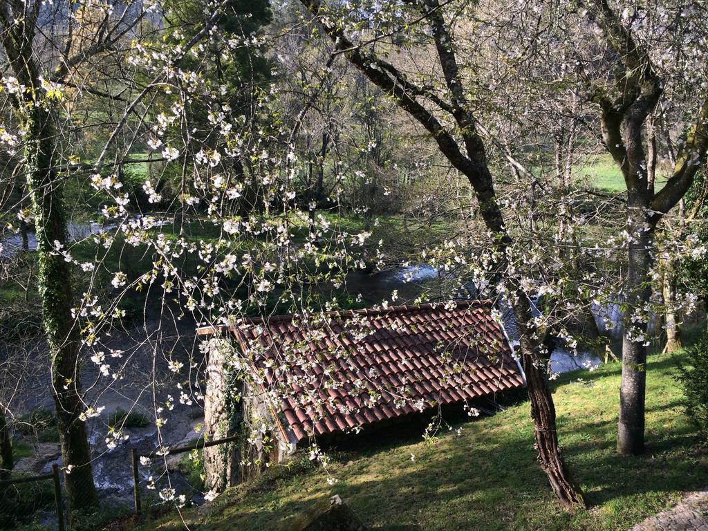 Quinta Do Rio Homem Caldelas Εξωτερικό φωτογραφία