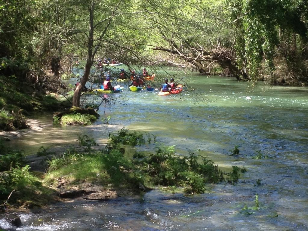 Quinta Do Rio Homem Caldelas Εξωτερικό φωτογραφία