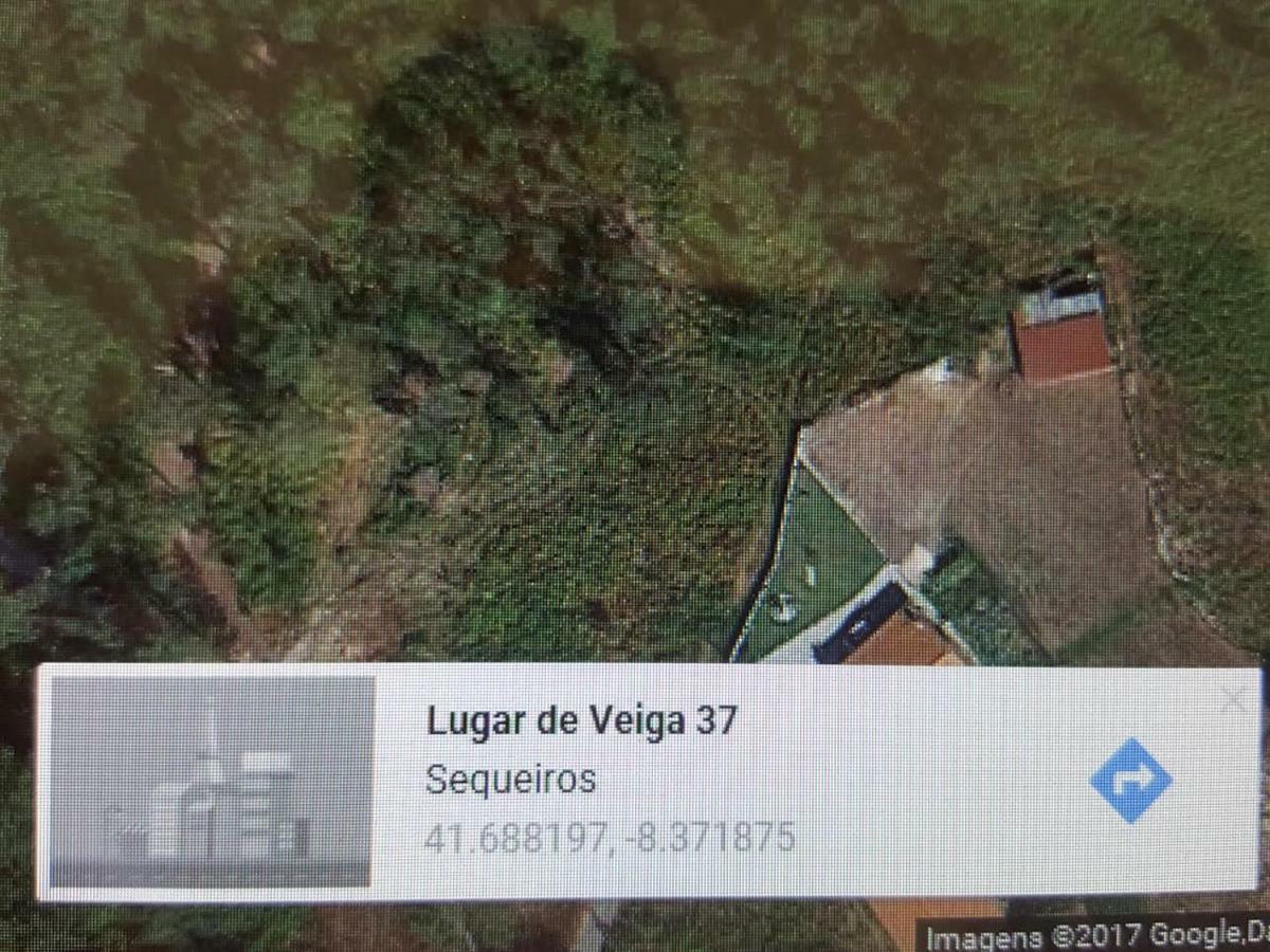 Quinta Do Rio Homem Caldelas Εξωτερικό φωτογραφία